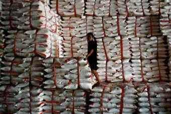 Tender Gula PTPN X Kembali Gagal