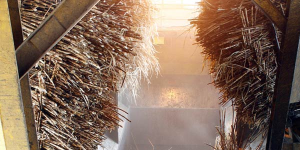 TBLA akan Bangun Pabrik Gula Senilai Rp511,4 M