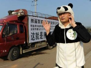 VIDEO: Teh Mahal Dunia Dipupuk Kotoran Panda