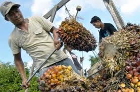 Unilever Siapkan Rp1,27 Triliun ke Sei Mangkei