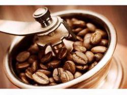 Kopi Kelas Dunia di Sudut Cantik Tegallega
