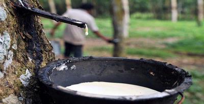 Bursa Regional Karet Segera Terbentuk
