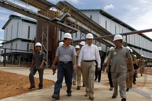 PERKEBUNAN SAWIT: Dharma Satya Nusantara Investasi Rp220 Miliar 