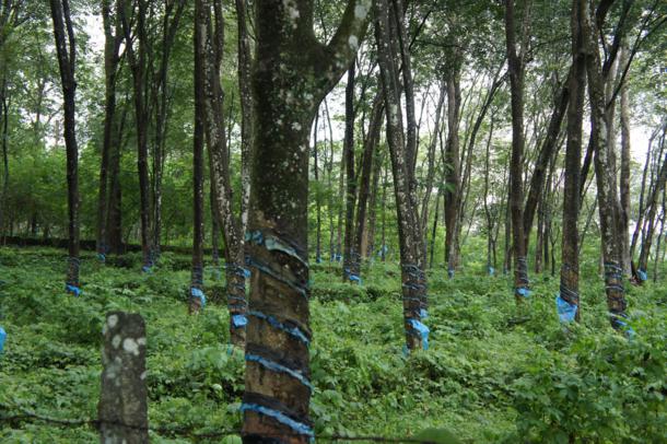 Thailand Natural Rubber prices on May 28, 2013