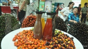 Perkebunan: Produksi CPO tahun ini meleset dari target