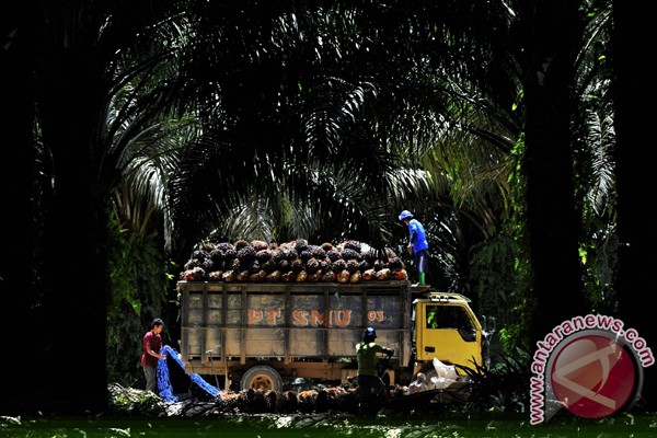 Mentan targets Indonesia to be able to control CPO prices