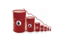 Oil prices fall in Asia ahead of OPEC meeting