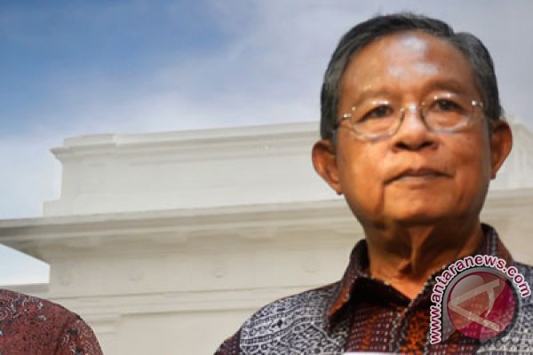 Coordinating Minister for Economic Affairs: Palm oil production results improved