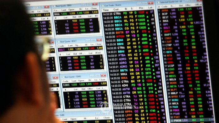 HIPMI Jaya: If Companies Want to Develop, They Must Go Public