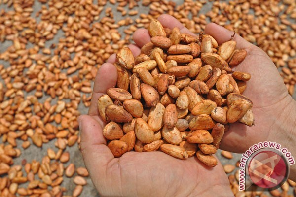 Governor dismayed by Switzerland’s failure to recognize Indonesian cocoa