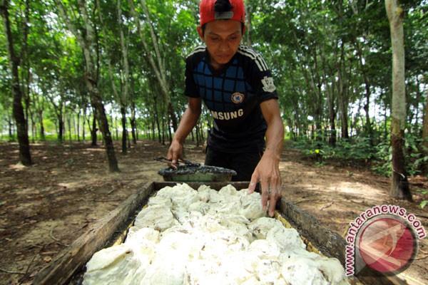 JUNE 3 RUBBER PRICES: Closed up 0.13% for the Second Day