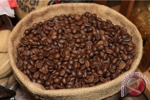 Promoting Specialty Coffee in Dublin