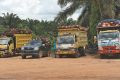 BUM Des in Kobar Prospering Palm Oil Farmers
