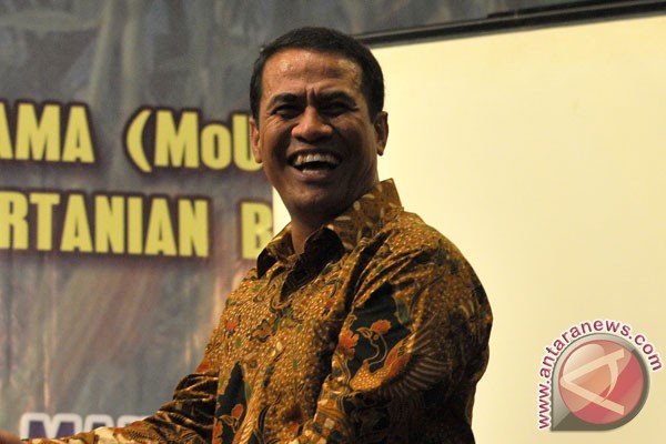 Government asks for acceleration of palm oil rejuvenation