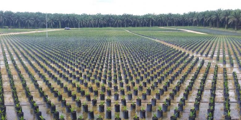 Government Promotes Performance of Agro Industry with Partnership Pattern