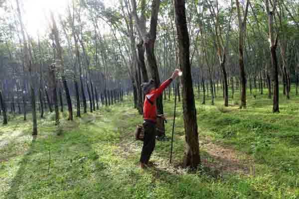 Sumsel Bakal Tumbuh 5,5%