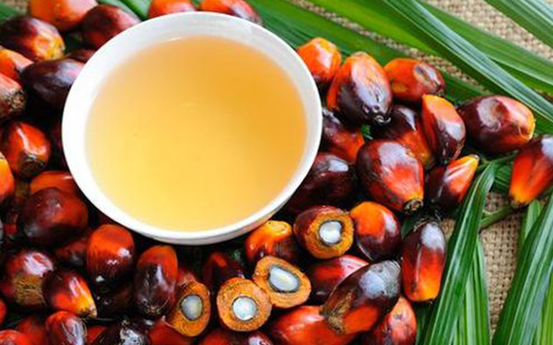 Harga Tender CPO KPBN, 7 Juli 2022 Disepakati Rp 6.755/Kg  